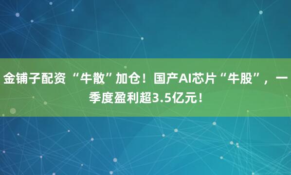 金铺子配资 “牛散”加仓！国产AI芯片“牛股”，一季度盈利超3.5亿元！